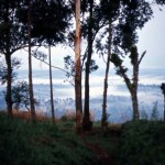 A view from the top of the Bamenda escarpment, Cameroon, at 6.30am. February 1965.