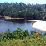 At Mamfe, Cameroon, the Cross River widens out to include a substantial shingle beach. These waters and the surrounding forest were home to several hippos. February 1965. 