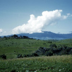 The countryside in the Bamenda/Bafut region consisted of rolling grassland and mountains. Many crops were grown here by the local villagers and farmers.