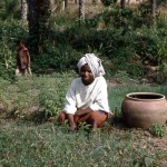 This woman was cultivating onions near the side of the Ibadan-Ilorin road. The pot contained cow faeces and water, used as a fertiliser. 6 February 1966.