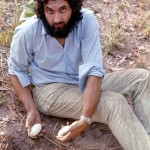 On a trip to the Upper Ogun Game Reserve in Nigeria we came across the partly dug out nest of a Nile crocodile (Crocodylus niloticus) near the banks of the River Ogun. 1973.