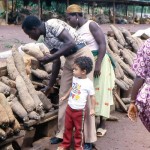 Buying yams in a village near Benin in the south central area of Nigeria. Yams are a staple food in Nigeria, as in much of the tropical world. June 1979.