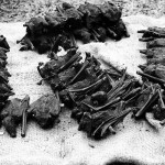 Smoked and dried fruit bats, although which species was not clear. They were on sale in a Bafut market, Cameroon, along with many other local foods. April 1966.