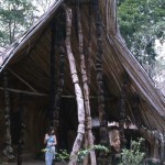 2. Osun-Osogbo is one of the last remaining Yoruba sacred forests. The photo above is the Ogboni house, the Ogboni being a fraternal secret society of the Yoruba-speaking peoples.