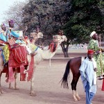 Camels were used by some participants in the festival. FESTAC, Kaduna, February 1977.