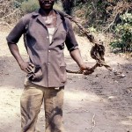 During a brief return visit to Nigeria in January 1982, I encountered this palm wine tapper in the 'bush' north of Ibadan. The woven hoop is used to climb the palm trunk.