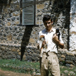 I am holding a young patas monkey (Erythrocebus patas) and a young spot-nosed guenon (Cercopithecus nictitans).
