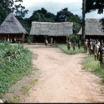 Bafut scene.