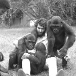 Michael Iyoha, the senior keeper in charge of the apes, helps keep order. Michael was an exceptionally gifted zoo keeper who was much involved with the care of the gorillas. 1967.