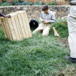 An expatriate working in Cameroon offered us this young female chimpanzee, but first we had to entice it into a crate! Here Durrell is starting that process.