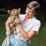 June Hopkins, the wife of a member of staff of the University, kindly kept the cub at home and raised it over the first few months prior to it coming to the Zoo. The cub was named Moshi after a river near Kishi.