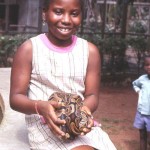 Another visitor handles a royal python. It was noticeable over the years how many regular visitors to the Zoo lost their fear of snakes and asked us to let them handle one. The royal python as a species was ideal for this purpose.