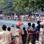 The ape exhibit continued to be a popular attraction, especially the 'swimming' gorillas, and attracted visitors to the Zoological Garden from all over Nigeria. By 1979 the Zoo was receiving nearly a quarter of a million paying visitors each year, more than any other public attraction of any kind in Nigeria. April 1973.