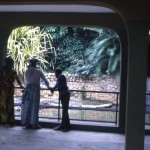 The new crocodile exhibit about a year after completion. The enclosure is open to the weather but the crocs have access to the pool or shade at all times. Visitore are provided with shelter from sun or rain by the covered walkway around the pool.